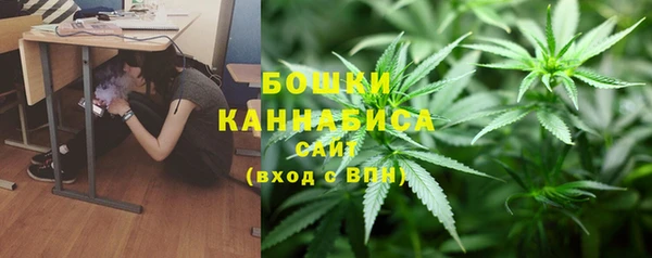 твердый Абаза
