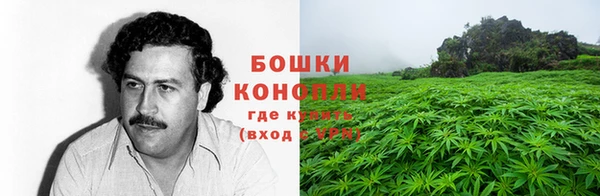 шишки Алзамай