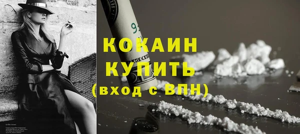 твердый Абаза