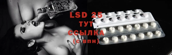 твердый Абаза