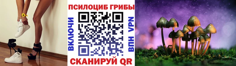 блэк спрут ССЫЛКА  Копейск  Галлюциногенные грибы Psilocybe 